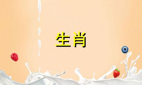 属猪的男生与哪个生肖最相配 属猪男的最佳配偶是什么生肖