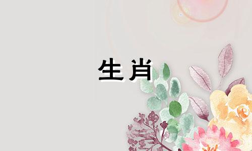 十二生肖属相和对应的时辰是什么？