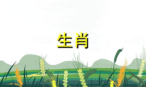 41年出生的人属于哪个生肖 生肖虎出生年份年龄对照,属虎的年龄