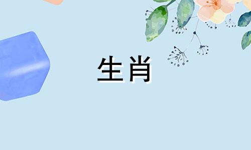 22岁的人属于什么生肖属相 22岁是哪年出生的属相是什么，22岁的属相是什么