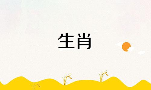 牛在五行中属于什么?