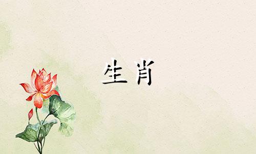 在十二生肖中，虎代表什么？