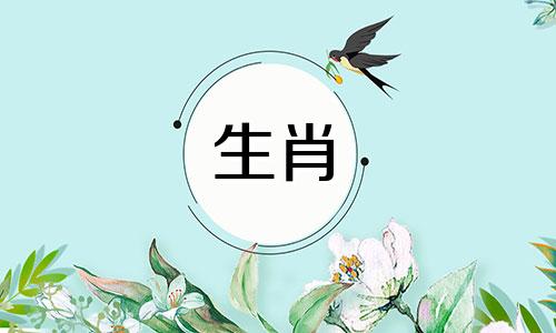 是否考虑生肖属相来选择生女孩 哪个属相的女宝宝好，女孩子属什么生肖最好