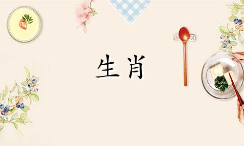 与马属相最匹配的女性生肖是什么？