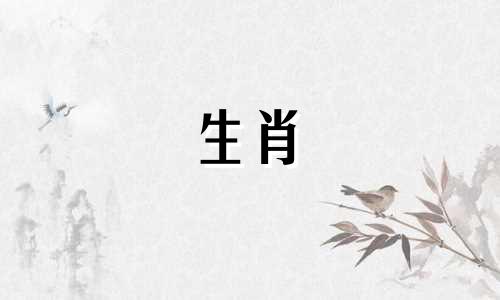 最容易相伴一生的属相女人生肖 缘分深厚，只愿共度余生的属相，你知道他们是谁吗