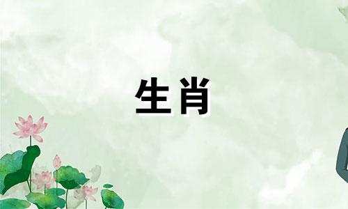 生肖蛇与哪个属相相冲 属蛇最不适合搭配哪个属相