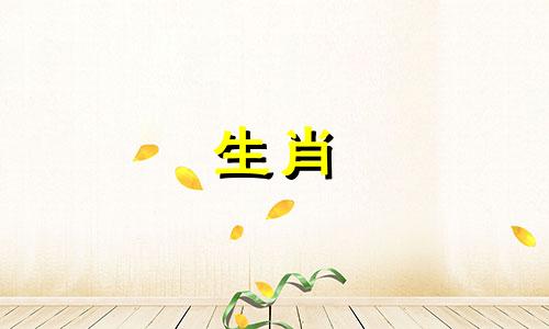 李一桐属于哪个生肖属相 娱乐圈中最难捧红的明星有哪些