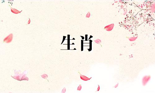 兔相合的属相是什么生肖 属兔与哪个属相最合的人" 可以改写为 "属兔的人与哪个