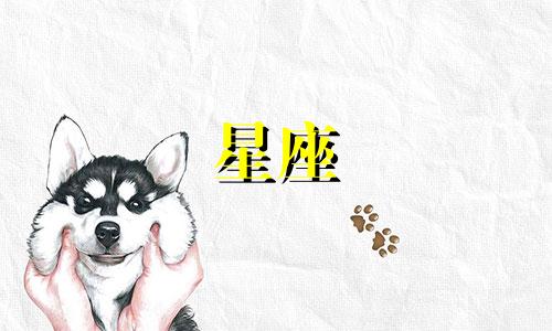 详细分析十二星座的性格特点 十二星座的性格特点是什么