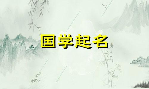 2023年农历腊月二十七出生的男兔宝宝，具有五行属性中的敏捷、温和、阳光和纯净。以下是一些