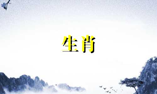 最善良的生肖女生是兔 属兔女人的性格和脾气如何