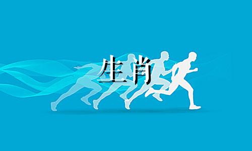 在年底，哪个生肖被认为是最好的？