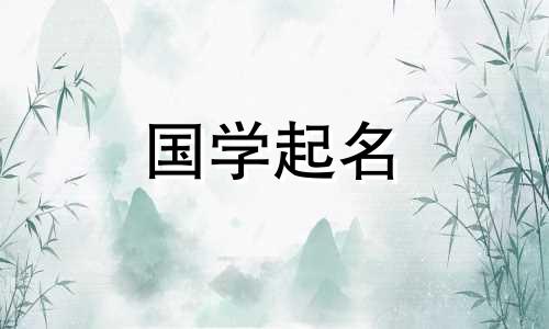 为2023年农历腊月二十九出生的男宝宝取名，取一个寓意前程光辉的名字。