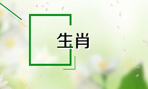 1999年属兔男什么时候结婚好呢 1999兔男最佳结婚年龄