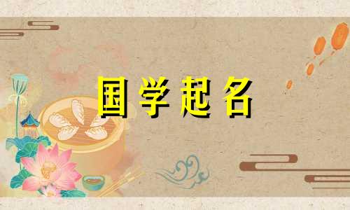 为2023年农历腊月二十八出生的女宝宝取名，一个聪明睿智涵养的名字