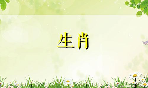 金星询问贾乃亮的生肖是什么。