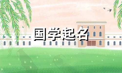 2024年农历正月初一春节出生的男生命运如何?男宝宝取名大全可以改写为:202