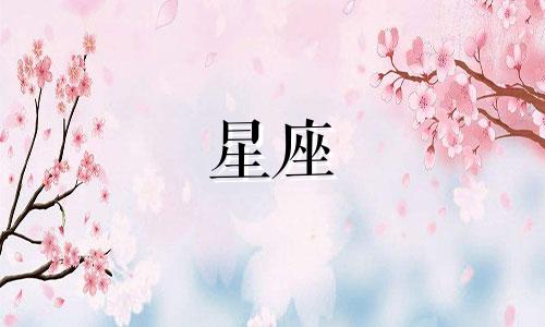 苏珊米勒对2024年12个星座的运势进行了详细解析