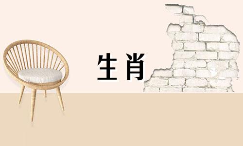 2024年是属马的大灾之年吗为什么 2024年生肖马