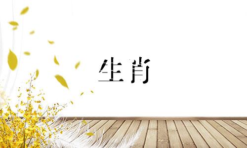 如何用英语表达十二生肖 分别说出每个动物的英文名称