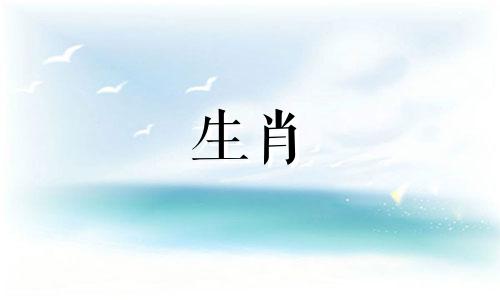 最容易打扮的生肖女生 最擅长打扮的4大生肖女