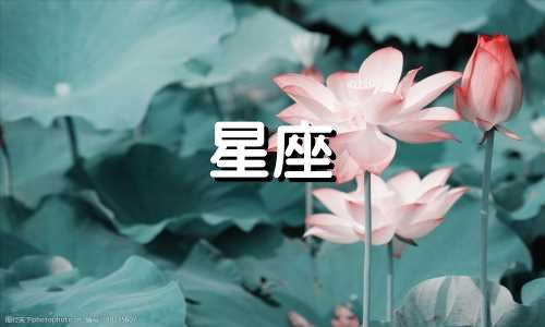 分享恋爱节目星座分析的网盘资源 对十二星座爱情的分析