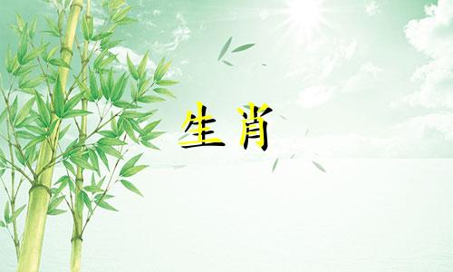 属羊男性的最佳生肖配偶是什么?