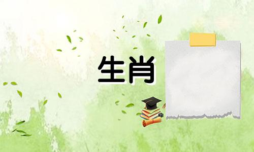 生肖马与哪个属相相冲 生肖属马的与什么属相冲突