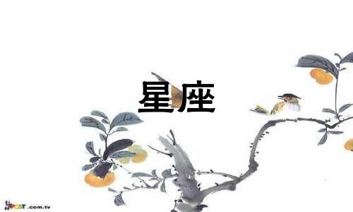 2024年,金牛座将面临一次重大挑战。