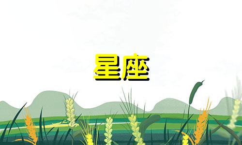 北斗三号全球卫星导航系统星座由三十颗卫星组成,对该系统星座的特性进行分析。