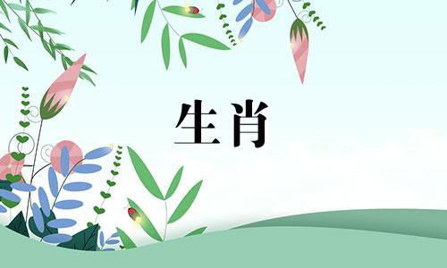 属羊的人和属羊的人结婚是否合适，属羊与属羊的配对好吗？