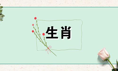 黄金牌上的生肖兔三合属相是什么？