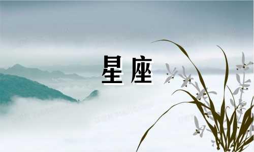 分析双子座男性的性格特点