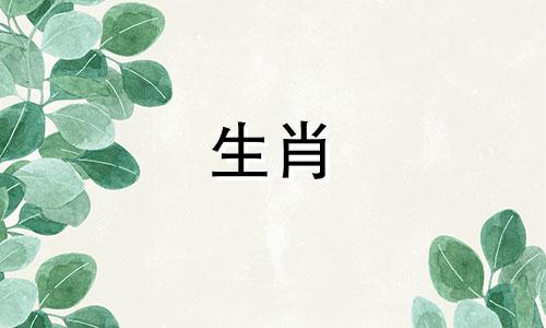 寅年出生的人属于什么生肖，卯兔的含义是什么？