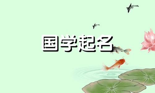 2024年农历正月初九出生的男孩八字命运 闪耀的名字参考
