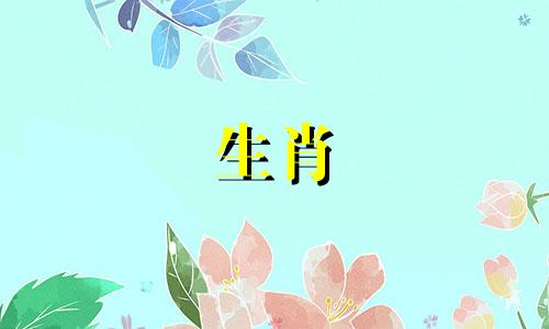 十二生肖的配对表是指哪些生肖可以相互配对？