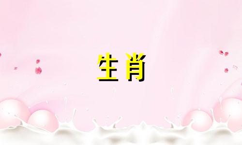 生肖狗的属相是否吉利 两个属狗的人结婚是否合适,两个属狗的人配对是否合适