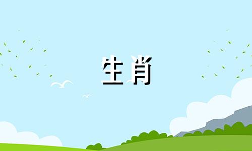 生肖狗最适合与哪个属相配对 生肖配对 属狗和哪个属相最合适