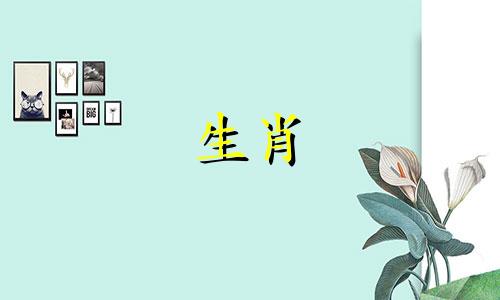 今年兔子的三个生肖属相 属兔人的三合贵人属相,三个属兔的再加一个什么属相好呢
