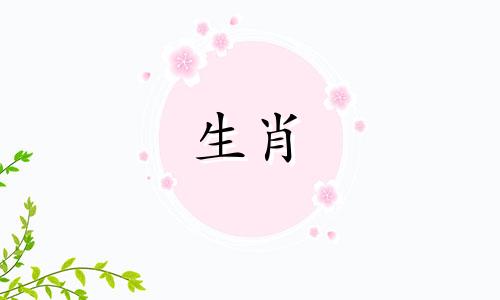 赢在今朝是什么生肖的属相？