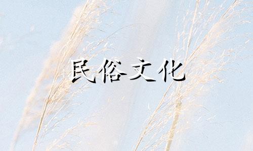 家养薰衣草风水禁忌表图片 如何养护家养薰衣草 注意事项