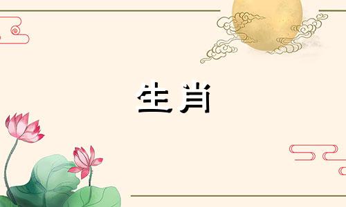 生肖兔女性的最佳伴侣是什么属相 兔女最适合与哪个属相配对