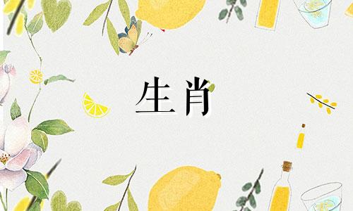 衣食无忧，猜一个生肖 衣食无忧的最佳生肖是什么