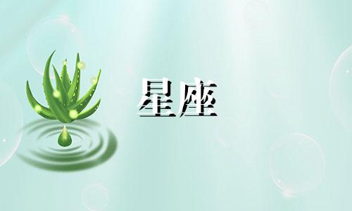 详解视频教程:十二生肖星座性格分析