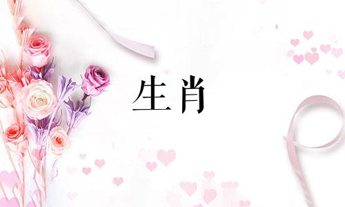 芈月传中的人物生肖属相是什么？最后和黄歇长得一模一样的人是谁？