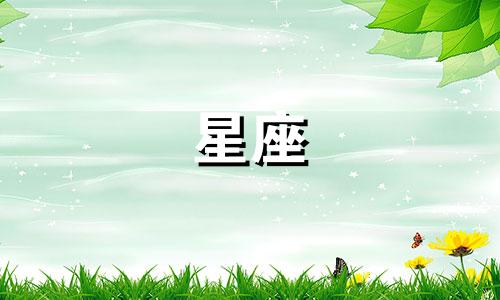 2024年12月29日出生的人属于什么星座?