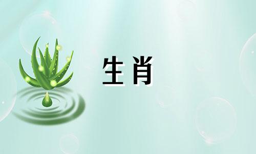 生肖鼠最佳配偶：女虎男 女属鼠与男属虎的配对是否合适，女属鼠和男属虎