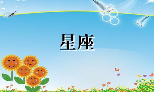 分析星座品牌B类普通股票的趋势 判断股票趋势的方法