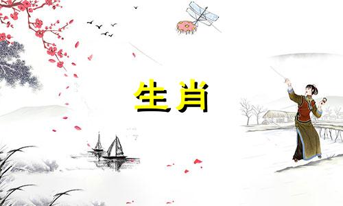 属鸡的人最适合与哪些生肖相配 属鸡的和什么属相最配，和属牛的是天生一对