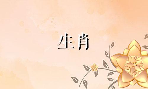 属猪男与哪个生肖女有缘分 猪男最宠爱的生肖女是谁,属猪的命中情人是哪个